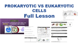 Prokaryotic vs Eukaryotic Cells FULL LESSON (TEK 6.12B, 6.