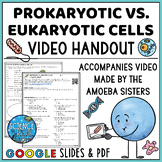 Prokaryotic vs. Eukaryotic Cells Video Handout - For Video