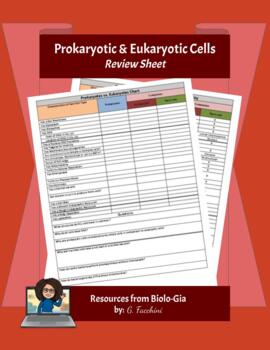 Prokaryotic And Eukaryotic Cells Chart