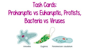 Preview of Prokaryotic vs Eukaryotic, Protist Task Cards