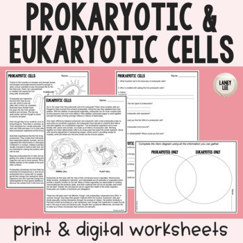 Preview of Prokaryotic vs. Eukaryotic - Reading Comprehension Worksheets