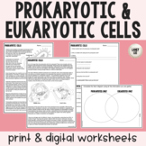 Prokaryotic vs. Eukaryotic - Reading Comprehension Worksheets