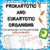 Prokaryotic vs eukaryotic organisms ~ PAIRS ACTIVITY & FRA