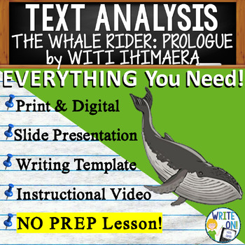 whale rider essay introduction