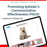 Promoting Aphasics' Communicative Effectiveness (PACE) Lan