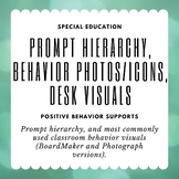 Prompt Hierarchy, Behavior Visuals, Distance Learning & Ho