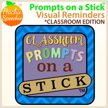 Preview of Prompts on a Stick: Visual Reminders for Classroom Management