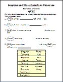 Pronoun Antecedent Agreement Printable Practice Pages and Quizzes