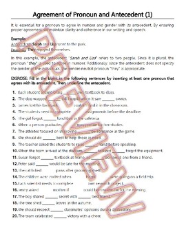 Preview of Pronoun Antecedent Agreement Worksheets & Reviews. High School English Grammar