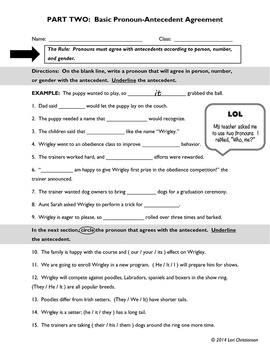 Pronoun-Antecedent Agreement Worksheets, Review, Quiz by BiblioFiles