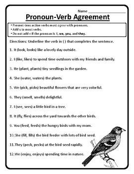 verb practice worksheet teachers pay teachers