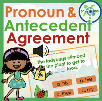 Preview of Pronoun and Antecedent Agreement (with AUDIO) Digital Boom Cards™ Task Cards