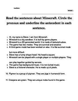 Preview of Pronoun and Antecedent Minecraft