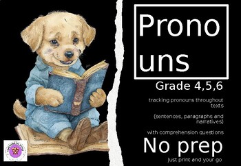 Preview of Pronouns,Sentences, Comprehension, Questions & Answers, Literacy Centers, NoPrep