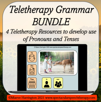 Preview of Pronouns and Tenses! Distance Learning Teletherapy Bundle