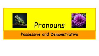 Preview of Pronouns:  possessive and demonstrative