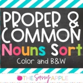 Proper and Common Nouns Sort Center Color, B&W and Google 