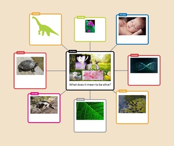 Preview of Properties of Living Things Graphic Organizer