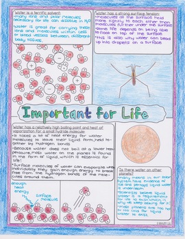 Properties of Water Biology Doodle Diagram by Science With Mrs Lau