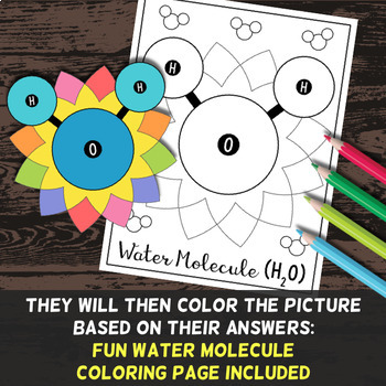 Properties of Water - Color By Number - Use as a worksheet, test review