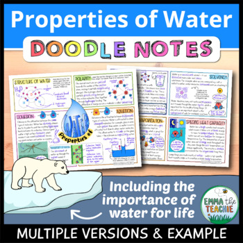 Preview of Properties of Water Doodle Notes - High School and Advanced Biology