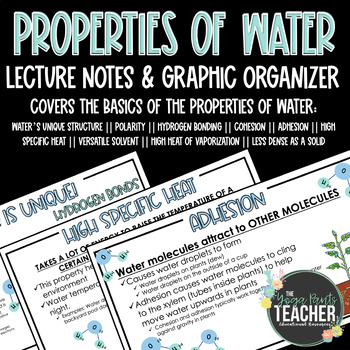 Preview of Properties of Water PowerPoint Notes & Graphic Organizer (Lecture Series)