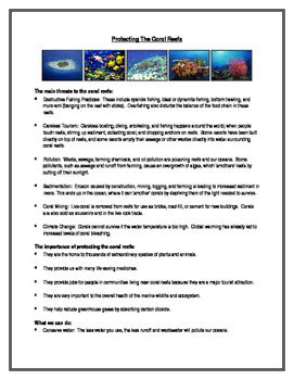 Preview of Protecting The Coral Reefs (Handout Notes)
