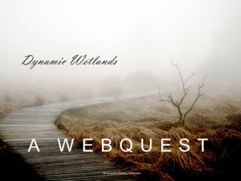 Preview of Environmental Science, Ecology, Ecosystems: Dynamic Wetlands Webquest