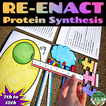 Protein Synthesis By Mrs G Classroom Teachers Pay Teachers