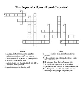 Protein Crossword Puzzle by Shamerra McCoy TPT