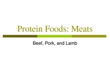 Protein Foods: Meats Notes and Notetaking Guide