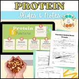 Protein Slides & Guided Notes | Nutrition: Macronutrients 