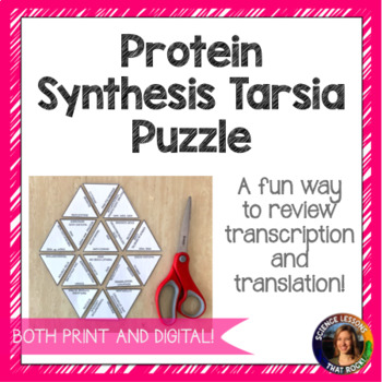 Preview of Protein Synthesis Tarsia Puzzle