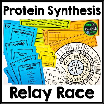 Preview of Protein Synthesis Activity - A Protein Synthesis RELAY RACE!