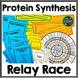 Protein Synthesis Activity - A Protein Synthesis RELAY RACE!