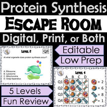 Preview of Protein Synthesis Activity: Biology Escape Room Game: Transcription, Translation