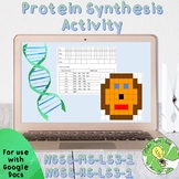 Protein Synthesis Activity- Google Doc
