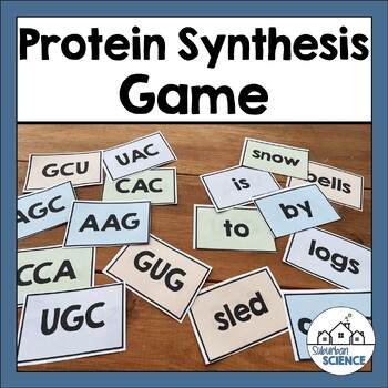 Preview of Winter Protein Synthesis Activity or Game- DNA Transcription Translation