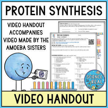 Preview of Protein Synthesis Amoeba Sisters Video Handout