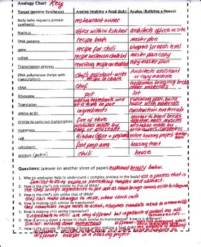 Protein Synthesis Analogy By Biology Buff Teachers Pay Teachers