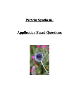 Preview of Protein Synthesis Application Based Questions