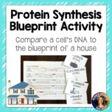 Protein Synthesis Blueprint Activity