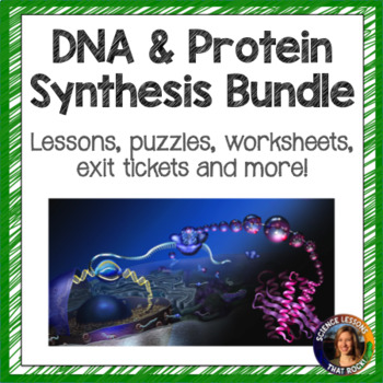 Preview of DNA and Protein Synthesis Bundle