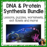 DNA and Protein Synthesis Bundle