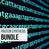 Protein Synthesis Bundle