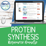 Protein Synthesis Bundle