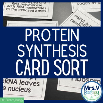 protein synthesis flow chart worksheet answers