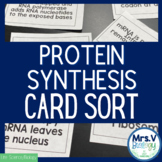 Protein Synthesis Card Sort Activity