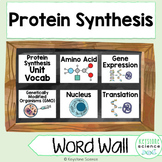 Protein Synthesis Central Dogma Mutations Word Wall and Vo