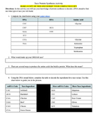 Protein Synthesis Choice Board